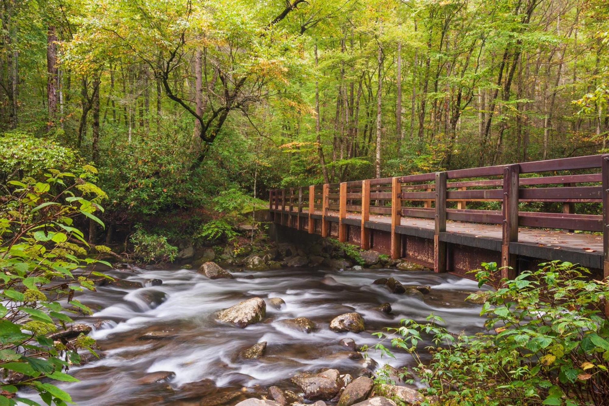 Bridgewood Cabin, Hot Tub, 1089 Of Free Attraction Tickets For Each Paid Day, Dollywood And More! Pigeon Forge Eksteriør billede